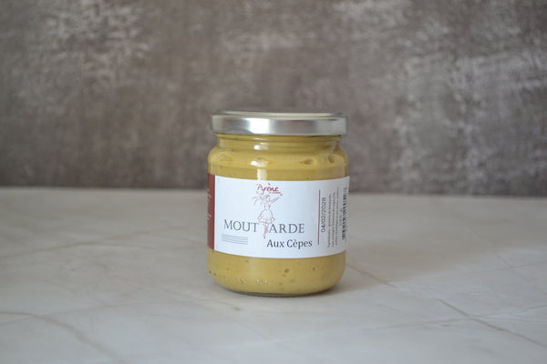 Hongos porcini